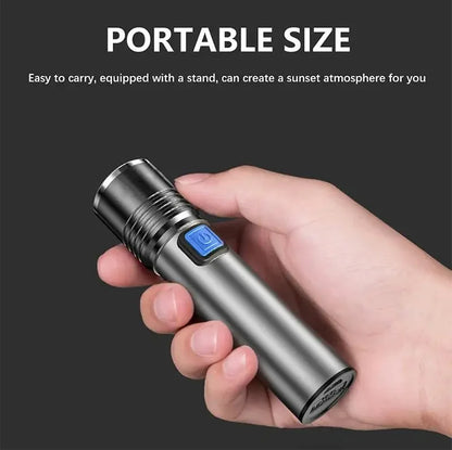 USB Rechargeable UV Flashlight For Pet Urine Detection Resin Cured 395nm UV Flashlight Black Light Zoom