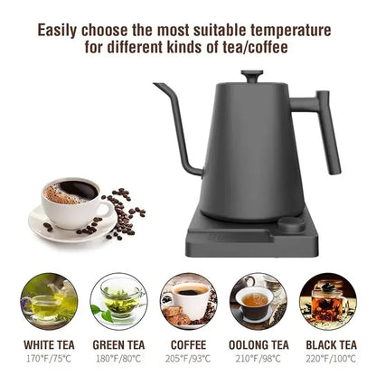 1200W Gooseneck Electric Kettle with Temperature Control Electric Kettle for Coffee and Tea Kettle Coffee Pot 110v/220v