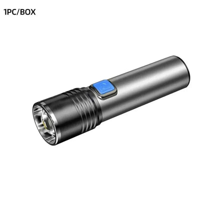 USB Rechargeable UV Flashlight For Pet Urine Detection Resin Cured 395nm UV Flashlight Black Light Zoom